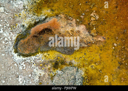 Island, Myvatn region, solfatara Feld Námaskarð, Schwefel Efflorezenz Stockfoto