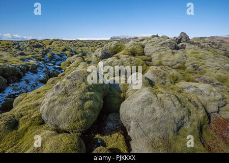 Island, South Coast, Moos - Lavagestein bedeckt, Schnee, blauer Himmel, Berge im Hintergrund, Stockfoto