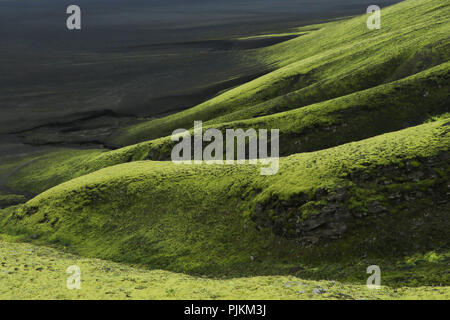 Island, Fjallabak, Maellifellsandur, Moosigen vulkanischen Hänge am Rand der Wüste, schwarzer Sand Stockfoto