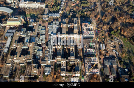 Universität Düsseldorf, Heinrich-Heine-Universität, der Botanische Garten, Düsseldorf, Rheinland, Nordrhein-Westfalen, Deutschland Stockfoto