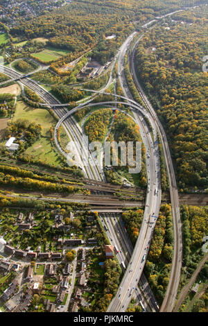 Luftaufnahme, Spaghetti Autobahnkreuz Duisburg-Kaiserberg, Autobahnkreuz A3-A40, herbstliche Stimmung, Herbstblätter, Duisburg, Ruhrgebiet, Nordrhein-Westfalen, Deutschland, Europa Stockfoto