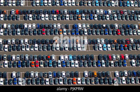 Neue PKW-Parkplatz, Wallenius Wilhelmsen Logistics Germany GmbH, Citroen, Peugeot, Ford Neuwagen, autologistics Unternehmen, bunte Reihe der Autos, Zülpich, Rheinland, Nordrhein-Westfalen, Deutschland Stockfoto