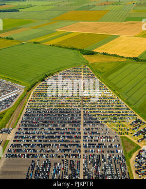 Neue PKW-Parkplatz, Wallenius Wilhelmsen Logistics Germany GmbH, Citroen, Peugeot, Ford Neuwagen, autologistics Unternehmen, bunte Reihe der Autos, Zülpich, Rheinland, Nordrhein-Westfalen, Deutschland Stockfoto