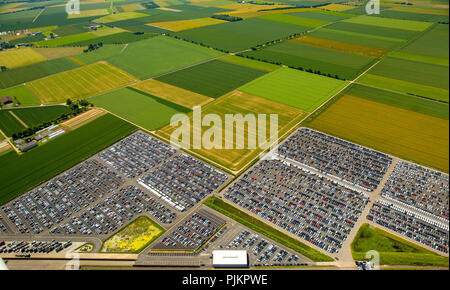 Neue PKW-Parkplatz, Wallenius Wilhelmsen Logistics Germany GmbH, Citroen, Peugeot, Ford Neuwagen, autologistics Unternehmen, bunte Reihe der Autos, Zülpich, Rheinland, Nordrhein-Westfalen, Deutschland Stockfoto