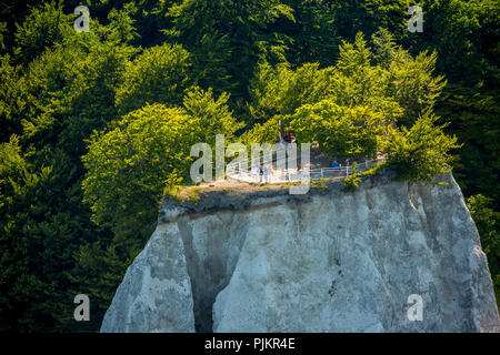 In der Nähe von Sassnitz, kreideküste im Nationalpark Jasmund, Rügen, Ostsee, Mecklenburg-Vorpommern, Vorpommern, Mecklenburg-Vorpommern, Deutschland Stockfoto