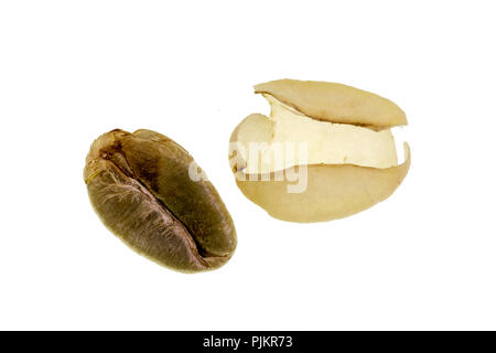 Coffee Bean und entfernt, Pergament, Seite an Seite, nach dem Trocknen und Entfernen von Feuchtigkeit Stockfoto