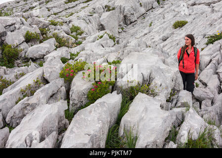 Frau wandern im Karstgebiet Schrattenfluh, Landschaft im Biosphärenreservat Entlebuch, Kanton Luzern, Schweiz Stockfoto