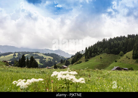 Landschaft im Biosphärenreservat Entlebuch, Kanton Luzern, Schweiz Stockfoto