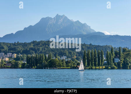 Tour auf dem See, Luzern, Vierwaldstätter See, Kanton Luzern, Schweiz Stockfoto