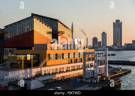 Aquarium von Osaka, Japan Stockfoto