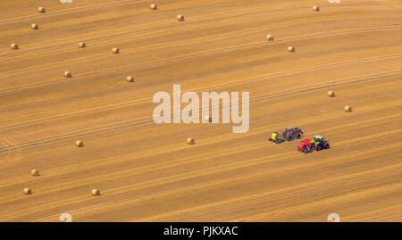 Abgeernteten Maisfeld mit Strohballen und Traktor, Neukalen, Mecklenburgische Seenplatte, Mecklenburgische Schweiz, Mecklenburg-Vorpommern, Deutschland Stockfoto