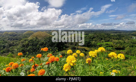 Chocolate Hills auf Bohol, Philippinen Stockfoto