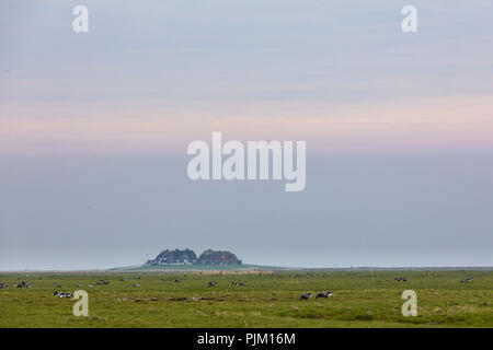 Deutschland, Schleswig-Holstein, Hallig Hooge, terp am Abend Stockfoto