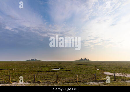 Deutschland, Schleswig-Holstein, Hallig Hooge, terp am Abend Stockfoto