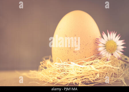 Ein Huhn Ei im Nest, Ostern Motiv, Stockfoto