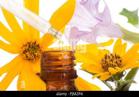 FLORITERAPIA BACHA - natürliche Heilmittel. Tropfen fallen von der Pipette des wesentlichen Öls, Stockfoto