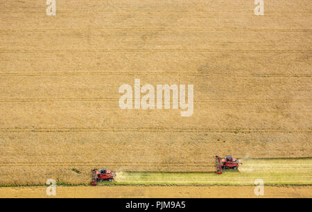 Getreideernte, fahr Mähdrescher bei der Ernte, Landwirtschaft, Vipperow, Mecklenburgische Seenplatte, Mecklenburg-Vorpommern, Deutschland Stockfoto