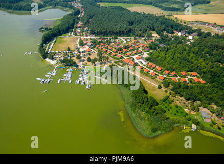 Jabelscher sehen, Molen, grünes Wasser, Jabel, Mecklenburgische Seenplatte, Mecklenburgische Schweiz, Mecklenburg-Vorpommern, Deutschland Stockfoto