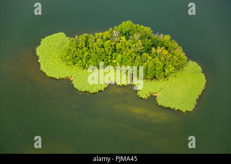 Insel mit Boot in See Krakau, Town Lake mit Halbinseln, Krakau, Krakow am See, Mecklenburgische Seenplatte, Mecklenburgische Schweiz, Mecklenburg-Vorpommern, Deutschland Stockfoto