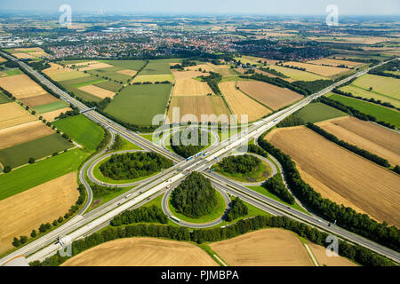 Felder, Landwirtschaft, Autobahnkreuz A44 und A445 im Südwesten von Werl, Werl, Soester Börde, Nordrhein-Westfalen, Deutschland Stockfoto