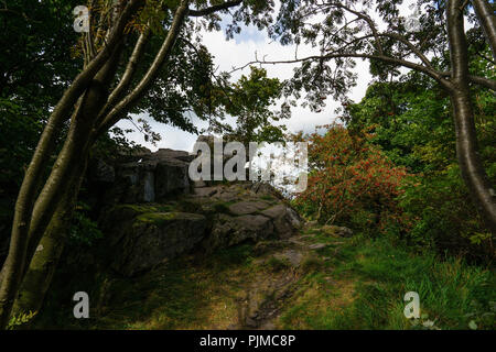 Die Milseburg mit seinen grossen Stein, den heiligen Berg im Biosphärenreservat Rhön, Hessen, Deutschland Stockfoto