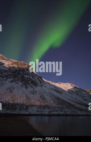 Europa, Norwegen, Troms, tanzenden Nordlichter über Grøtfjord Stockfoto