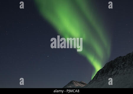 Europa, Norwegen, Troms, tanzenden Nordlichter über Grøtfjord Stockfoto