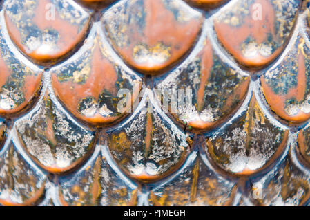 Bhaktapur, Nepal - Juli 16, 2018: Close-up auf den traditionellen Metal details in Bhatktapur, berühmt für die am Besten erhaltene Palast Höfe und alte Stadt Stockfoto