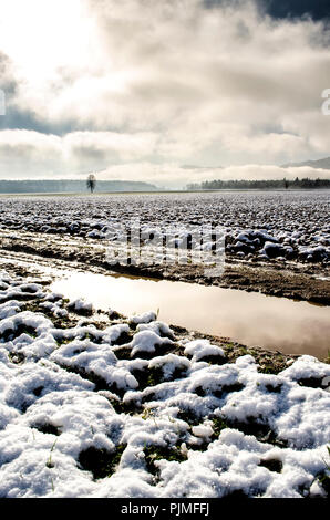 Eine Pfütze auf einer schmutzigen Straße in Slowenien. Ein schneebedecktes Feld und ein Baum mit Wald im Hintergrund. Stockfoto