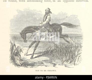 Bild von Seite 127 "Was Darwin sah in seiner Reise um die Welt in das Schiff "Beagle." [Übersetzt und von "Journal der Forschungen in die Geologie und Naturgeschichte der verschiedenen Länder v0053 angepasst. Stockfoto