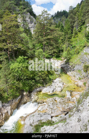 Spektakuläre felsige Schlucht mit Gebirgsbach in der Wildnis der Ötschergräben in den österreichischen Alpen. Stockfoto