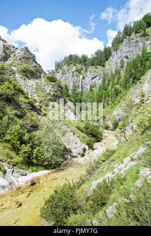 Spektakuläre felsige Schlucht mit Gebirgsbach in der Wildnis der Ötschergräben in den österreichischen Alpen. Stockfoto