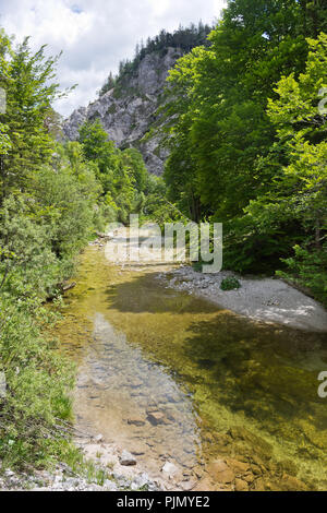 Spektakuläre felsige Schlucht mit Gebirgsbach in der Wildnis der Ötschergräben in den österreichischen Alpen. Stockfoto