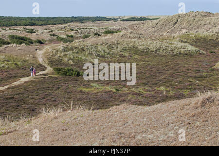 Winterton Dünen NNR Norfolk UK Stockfoto