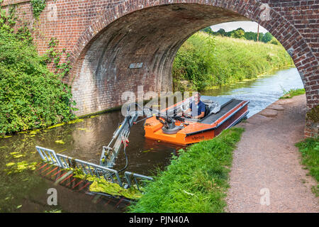 Ein kleiner Bagger ist mit klaren Sommer Unkrautbewuchs auf Grand Canal in der Nähe von Tiverton Westernm in North Devon verwendet. Stockfoto