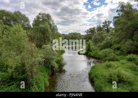 Ein kleiner Fluss fließt in einem kleinen Wald 2018 Stockfoto