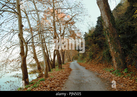 Weg am Ufer des Sees Kastoria, Orestiada im Herbst Stockfoto