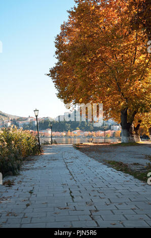 Allee der Bäume am Ufer des Sees Orestiada in Kastoria, Griechenland Stockfoto