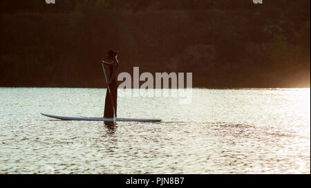 Stand Up Paddle Board von schönen Mädchen am Sonnenuntergang Hintergrund durchgeführt Stockfoto