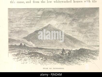 Bild von Seite 166 "Was Darwin sah in seiner Reise um die Welt im Schiff". Stockfoto