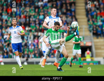 Belfast, Nordirland. Samstag, 08 September, 2018 Conor McLaughlin in Nordirland in Aktion Quelle: Graham Service Credit: Graham Service/Alamy leben Nachrichten Stockfoto