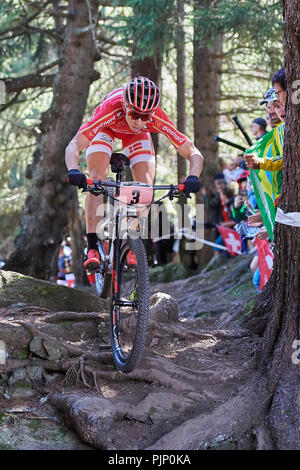 Lenzerheide, Schweiz. 8. September 2018. Annika Langvad während der UCI Mountainbike Weltmeisterschaften 2018 Frauen Elite Cross Country Olympic XCO in Lenzerheide. Credit: Rolf Simeon/Alamy leben Nachrichten Stockfoto