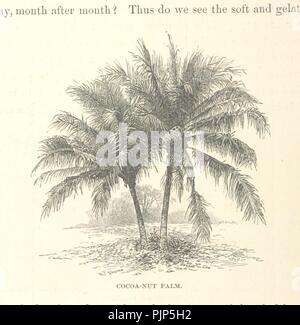 Bild von Seite 210 "Was Darwin sah in seiner Reise um die Welt in das Schiff "Beagle." [Übersetzt aus "Zeitschrift für Forschungen in die Geologie und Naturgeschichte der verschiedenen Länder v0068 angepasst und. Stockfoto