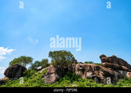 Schöne Sicht auf die Natur in der Savanne in Tansania Stockfoto
