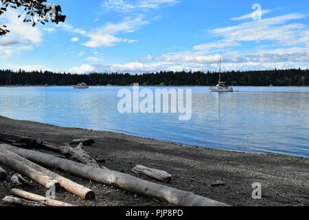 Auf einer einzigartigen Sommertag, der fast vollständig blaue Färbungen der tropischen Landschaft von Rebecca Spit auf Quadra Island zu erfassen. Stockfoto