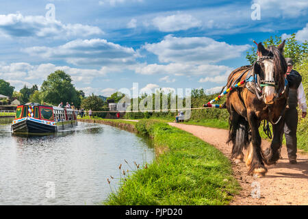 'Tivertonian', das letzte Pferd - barge im Westen Land erstellt, setzt sich für eine ruhige Fahrt auf dem Grand Western Canal in der Nähe von Tiverton in Devon. Stockfoto