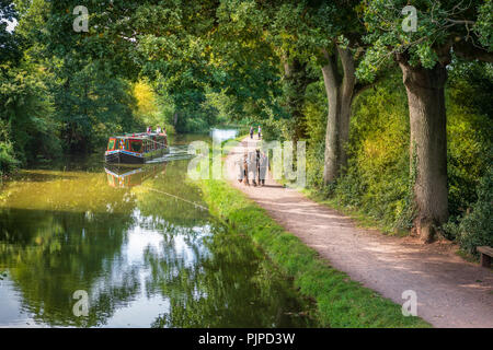 'Tivertonian', das letzte Pferd - barge im Westen Land erstellt, setzt sich für eine ruhige Fahrt auf dem Grand Western Canal in der Nähe von Tiverton in Devon. Stockfoto