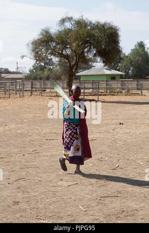 Massai leben in der Nähe von Arusha Stockfoto