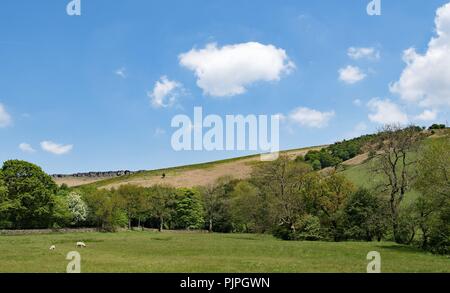 Sonnig und blauer Himmel Blick auf den Spaziergang von Hoffnung zu Stannage Edge, in The Derbyshire Peak District. Stockfoto