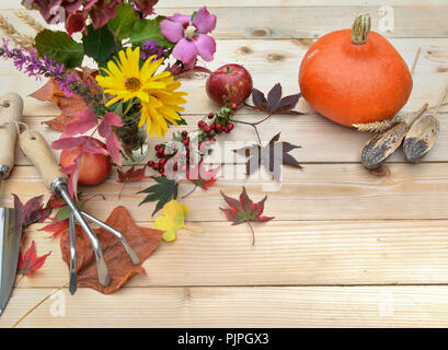 Herbstliche Blumen auf einem Holztisch mit Blatt, Gartengeräte, roten Apfel und Kürbis Stockfoto